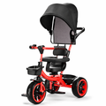 Triciclo para Niños en Crecimiento