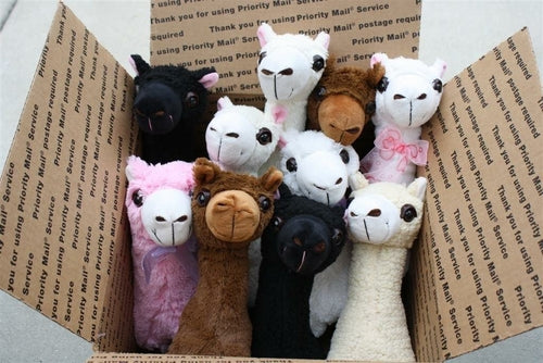 Colección Limitada de Peluches de Alpaca PacaBuddies