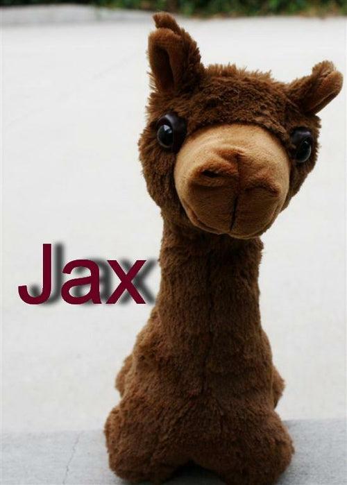 Colección Limitada de Peluches de Alpaca PacaBuddies